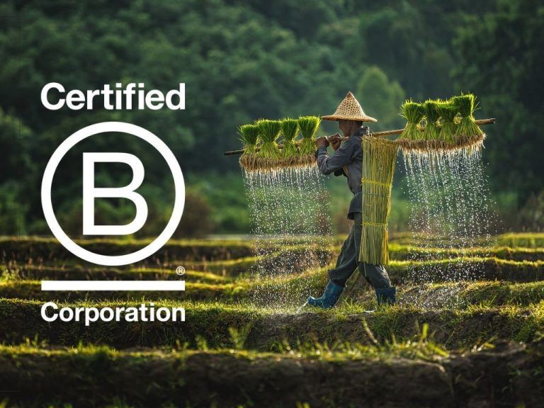 Enabling-Qapital-is-Proud-to-be-B-Corp-Certified-768x576