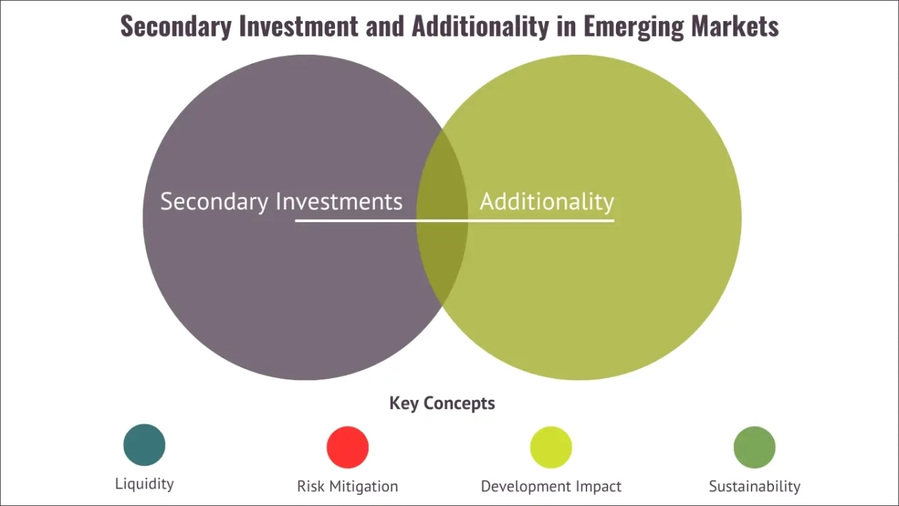 Unlocking Synergy: How Secondary Private Equity and Additionality Drive Sustainable Growth in Emerging Markets