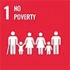 sdg1