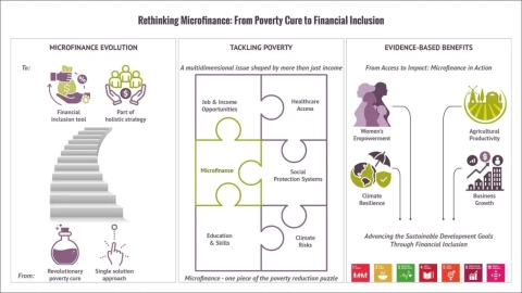 Rethinking Microfinance: From Poverty Cure to Financial Inclusion
