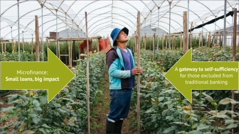 Understanding Microfinance Interest Rates - Beyond the Numbers