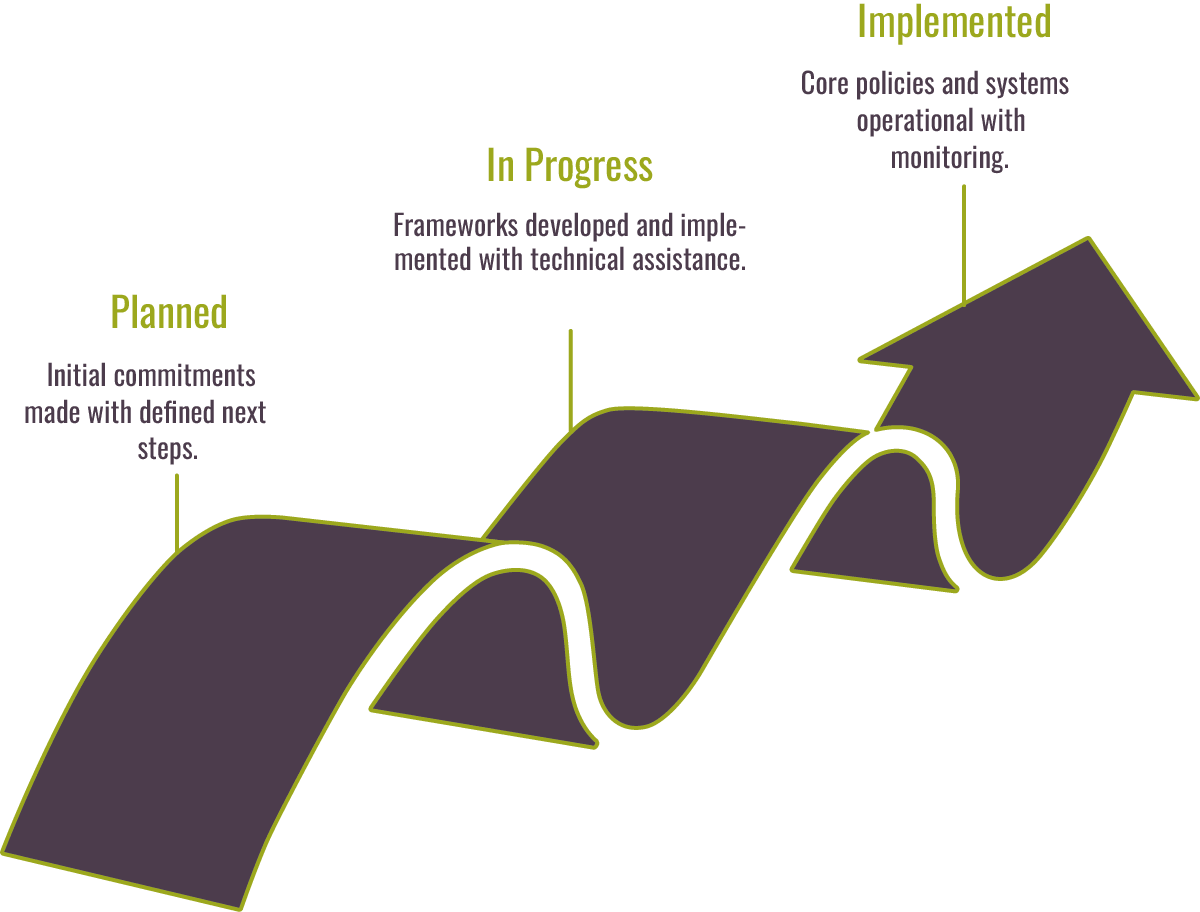 Achieving ES maturity
