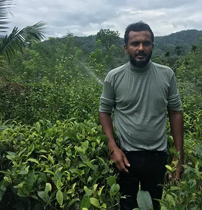 Mr. Chanaka Jayasinghe on his tea plantation